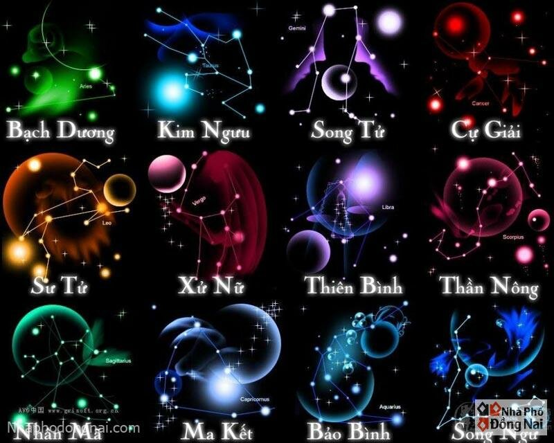 ngay-thang-sinh-12-cung-hoang-dao-moi-nhat