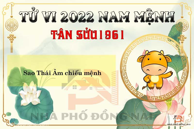Sao Chiếu Mệnh Năm 2022 Của Tuổi Tân Sửu 1961 Nam Mạng