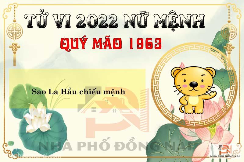 sao-chieu-menh-tuoi-1963-quy-mao-nam-2022-nu-menh
