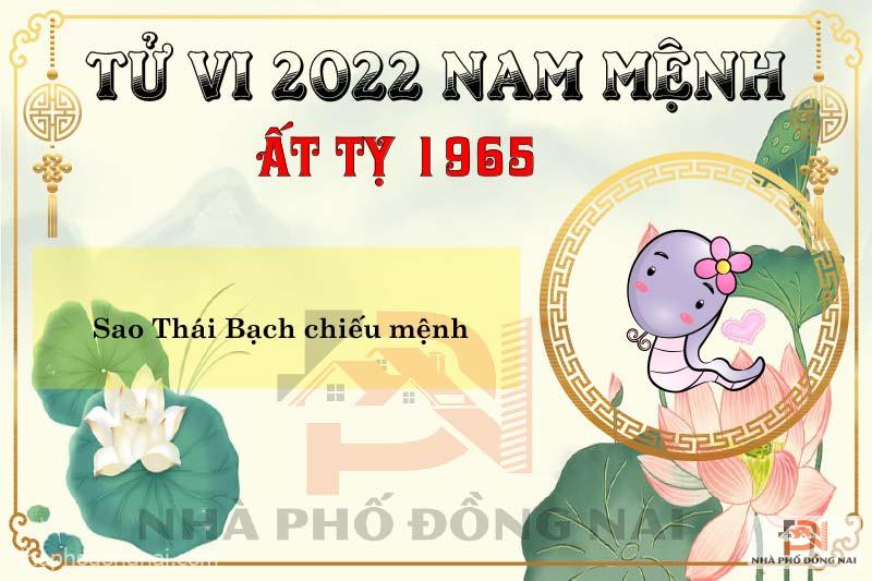 sao-chieu-menh-tuoi-1965-at-ty-nam-2022-nam-menh