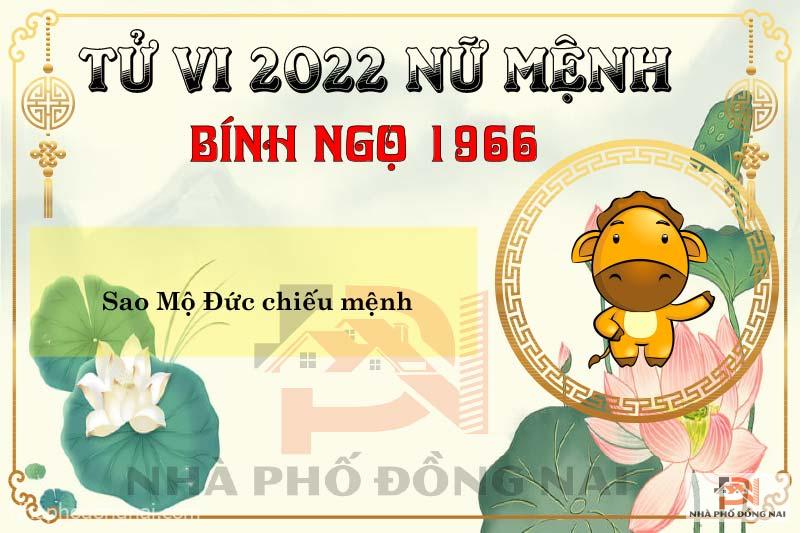 sao-chieu-menh-tuoi-1966-binh-ngo-nam-2022-nu-menh
