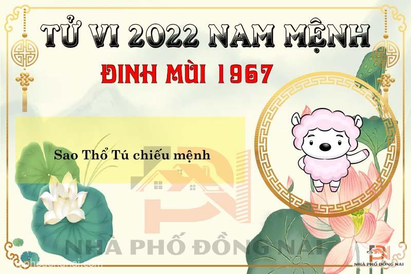 sao-chieu-menh-tuoi-1967-dinh-mui-nam-2022-nam-menh