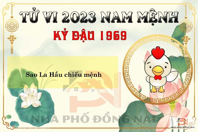 sao-chieu-menh-tuoi-1969-ky-dau-nam-2023-nam-menh