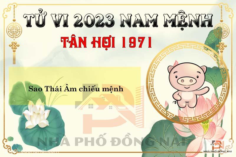 sao-chieu-menh-tuoi-1971-tan-hoi-nam-2023-nam-menh