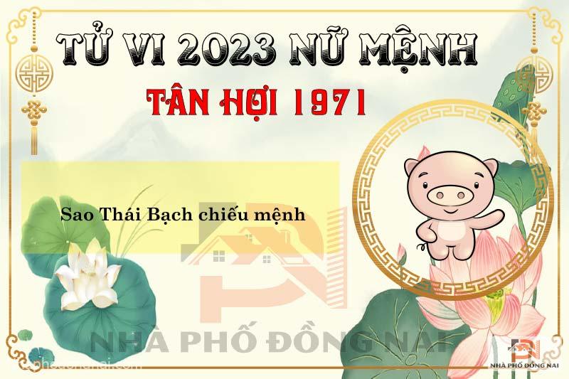 sao-chieu-menh-tuoi-1971-tan-hoi-nam-2023-nu-menh