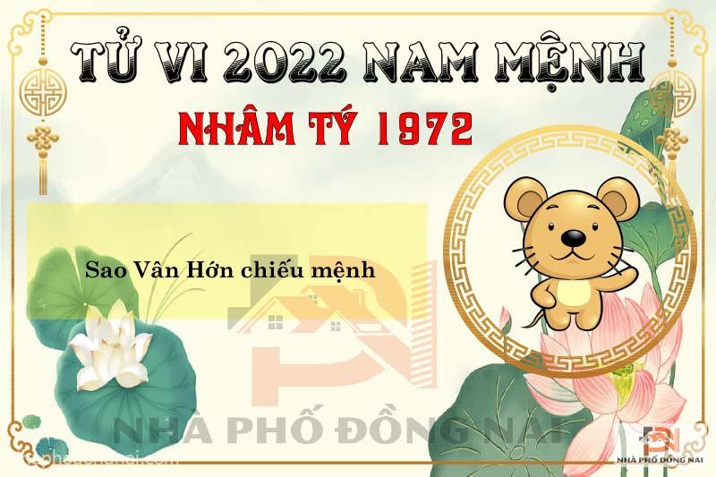 sao-chieu-menh-tuoi-1972-nham-ty-nam-2022-nam-menh