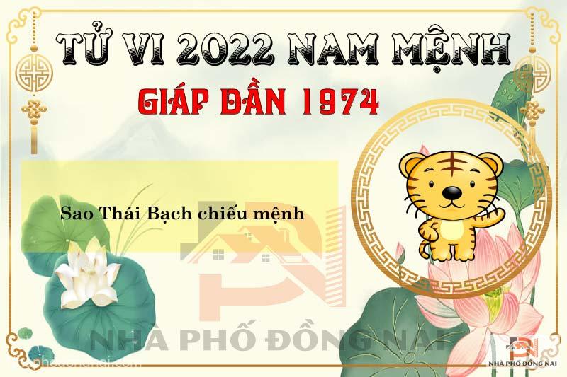 sao-chieu-menh-tuoi-1974-giap-dan-nam-2022-nam-menh