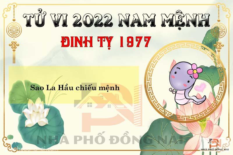 sao-chieu-menh-tuoi-1977-dinh-ty-nam-2022-nam-menh