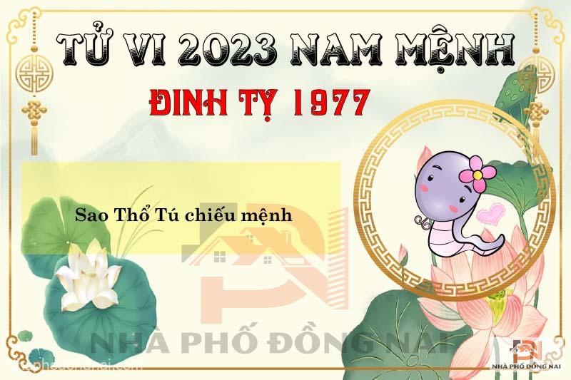 sao-chieu-menh-tuoi-1977-dinh-ty-nam-2023-nam-menh