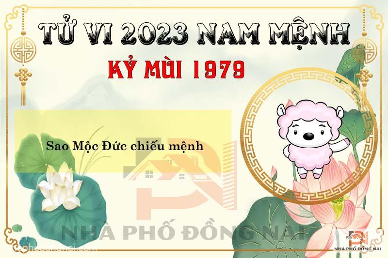 sao-chieu-menh-tuoi-1979-ky-mui-nam-2023-nam-menh