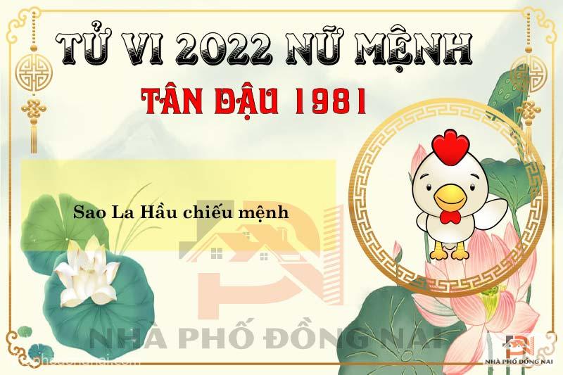 sao-chieu-menh-tuoi-1981-tan-dau-nam-2022-nu-menh
