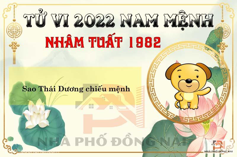sao-chieu-menh-tuoi-1982-nham-tuat-nam-2022-nam-menh
