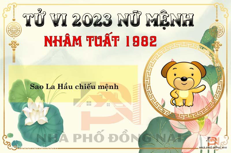sao-chieu-menh-tuoi-1982-nham-tuat-nam-2023-nu-menh