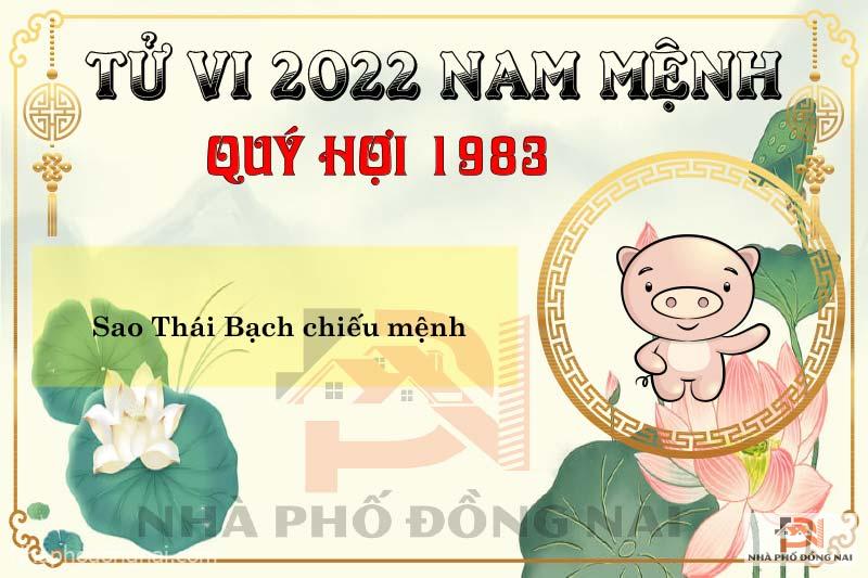 sao-chieu-menh-tuoi-1983-quy-hoi-nam-2022-nam-menh