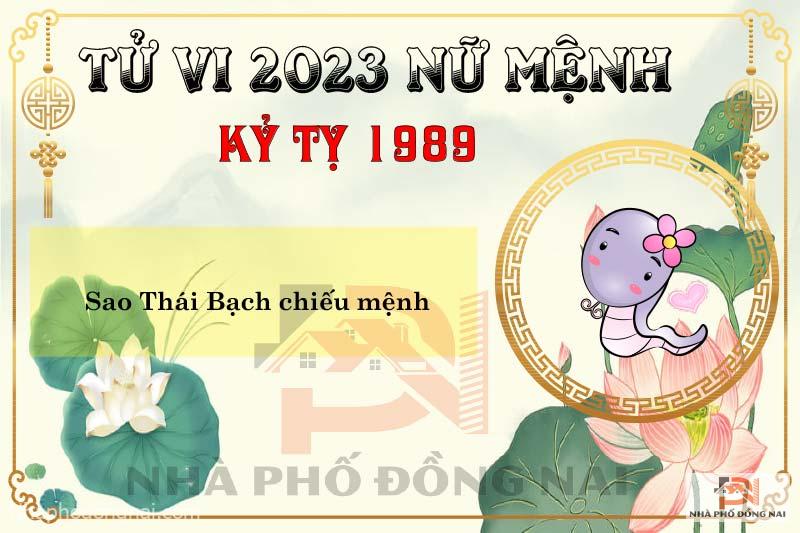 sao-chieu-menh-tuoi-1989-ky-ty-nam-2023-nu-menh