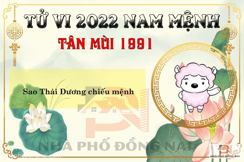 sao-chieu-menh-tuoi-1991-tan-mui-nam-2022-nam-menh
