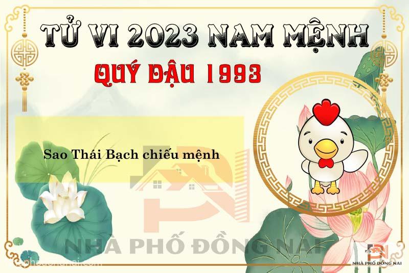 sao-chieu-menh-tuoi-1993-quy-dau-nam-2023-nam-menh