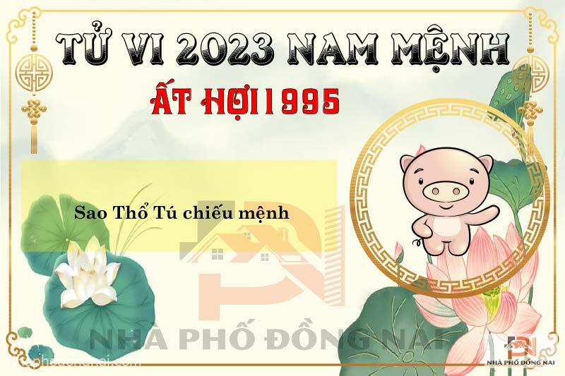 sao-chieu-menh-tuoi-1995-at-hoi-nam-2023-nam-menh