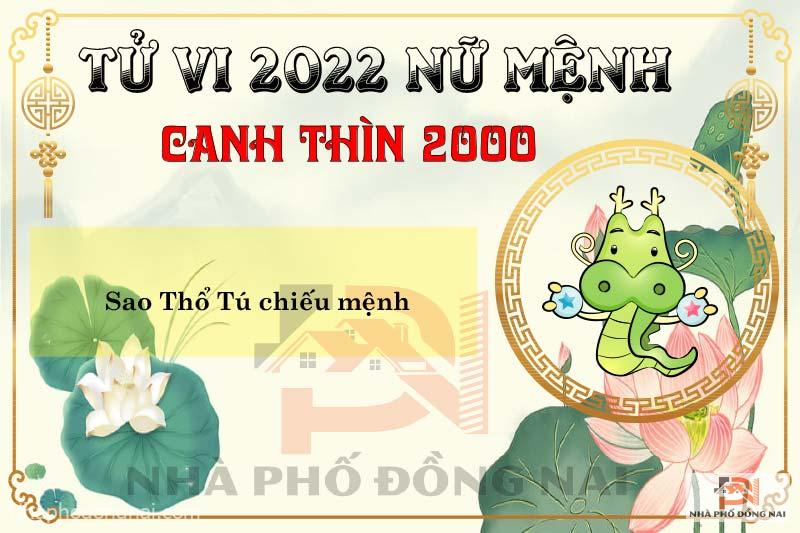 sao-chieu-menh-tuoi-2000-canh-thin-nam-2022-nu-menh