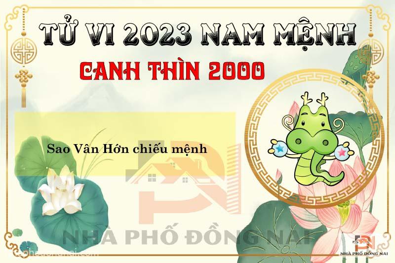 sao-chieu-menh-tuoi-2000-canh-thin-nam-2023-nam-menh