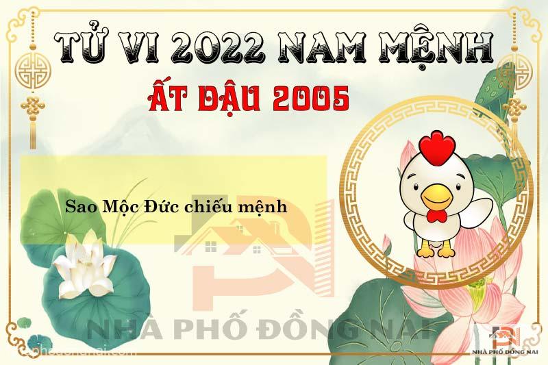 sao-chieu-menh-tuoi-2005-at-dau-nam-2022-nam-menh