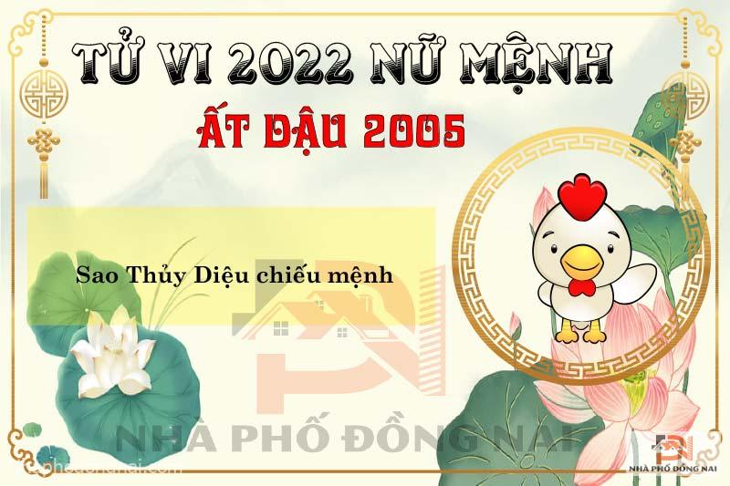 sao-chieu-menh-tuoi-2005-at-dau-nam-2022-nu-menh