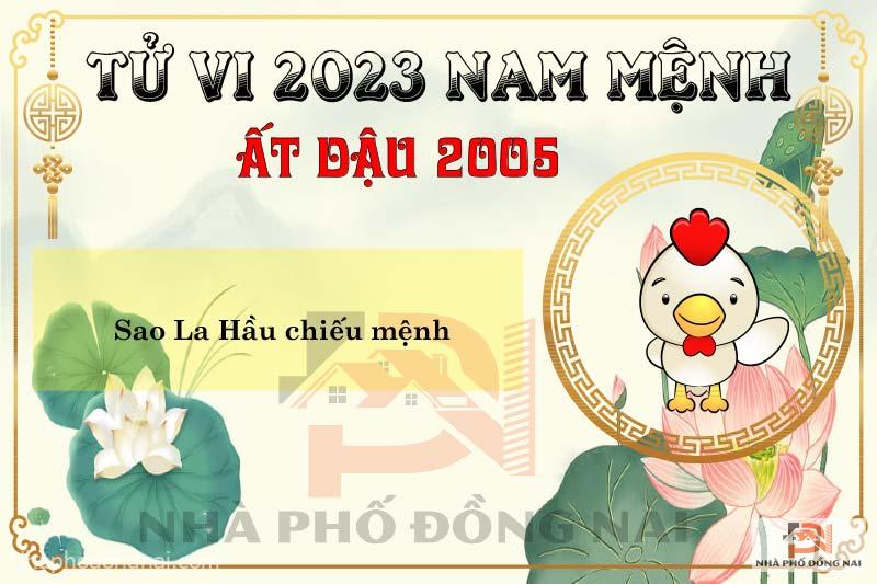 sao-chieu-menh-tuoi-2005-at-dau-nam-2023-nam-menh