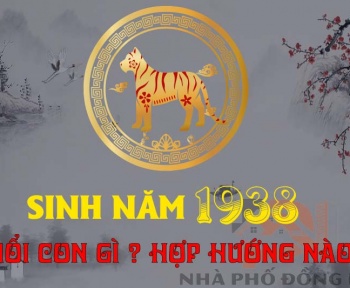 sinh-nam-1938-tuoi-con-gi