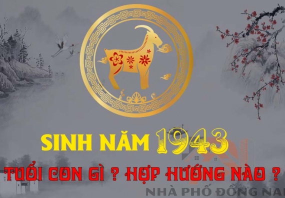 sinh-nam-1943-tuoi-con-gi