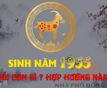 sinh-nam-1955-tuoi-con-gi