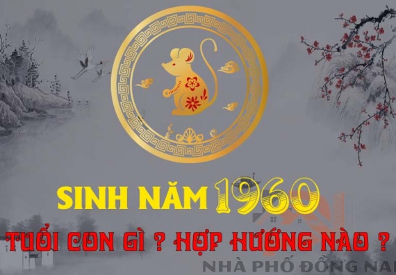 sinh-nam-1960-tuoi-con-gi