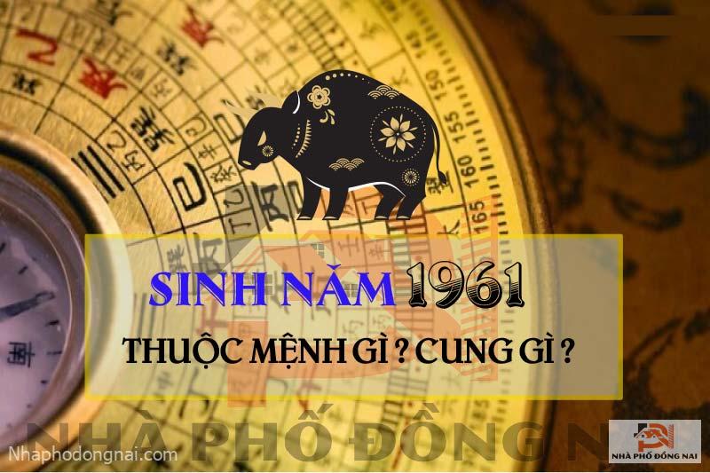 sinh-nam-1961-menh-gi-cung-gi