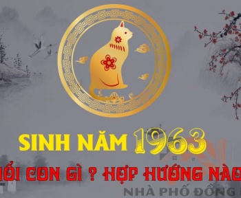 sinh-nam-1963-tuoi-con-gi