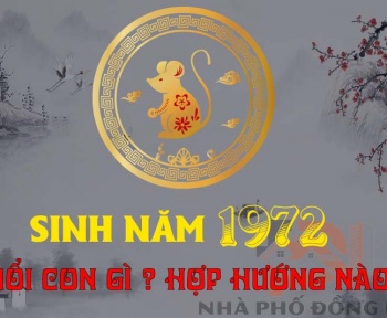 sinh-nam-1972-tuoi-con-gi
