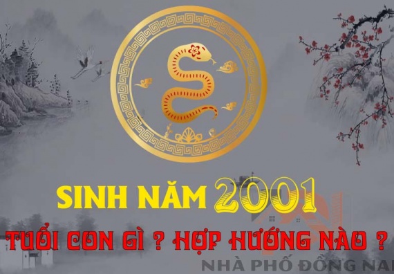 sinh-nam-2001-tuoi-con-gi