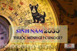 sinh-nam-2030-menh-gi-cung-gi