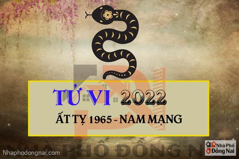 tu-vi-2022-tuoi-at-ty-1965-nam-mang