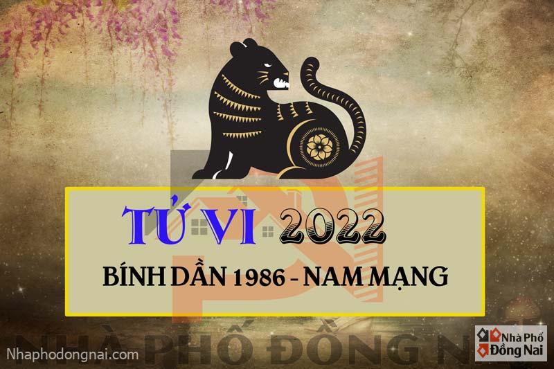 tu-vi-2022-tuoi-binh-dan-1986-nam-mang