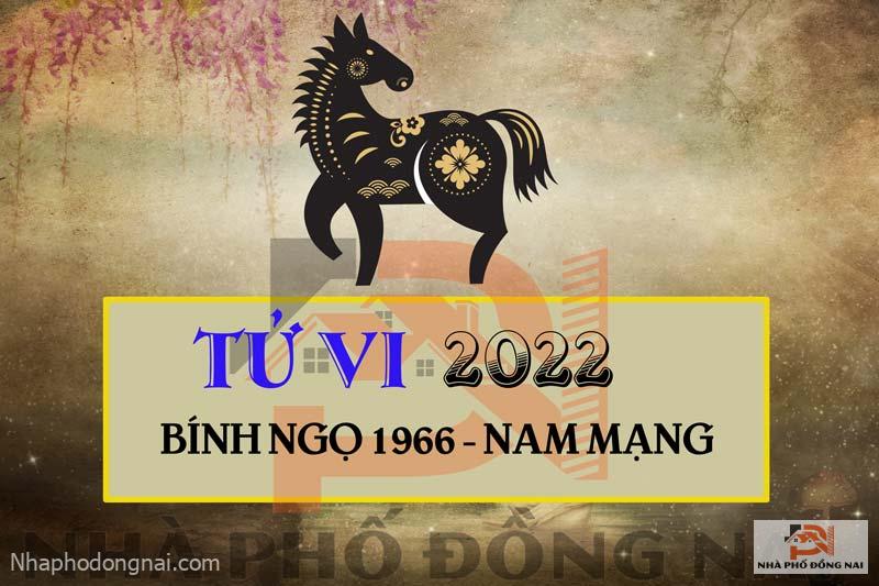 tu-vi-2022-tuoi-binh-ngo-1966-nam-mang