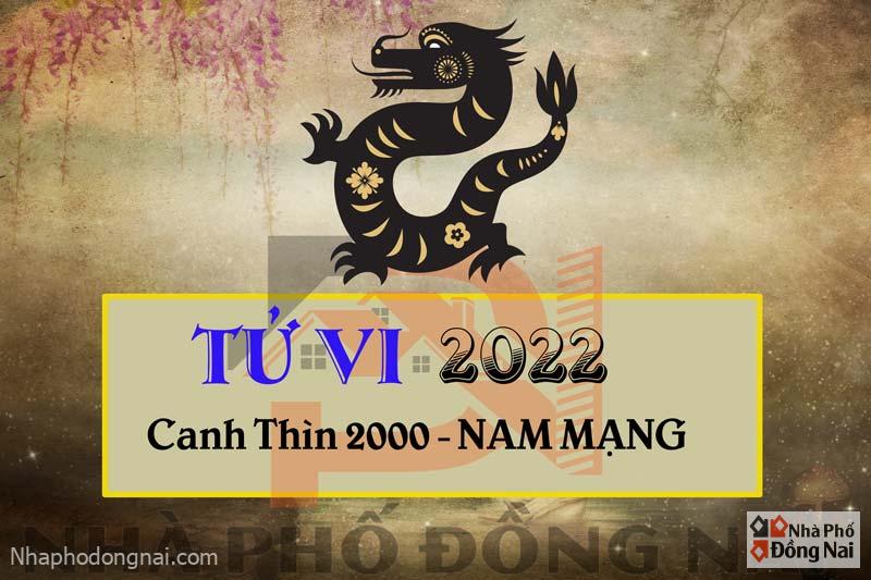 tu-vi-2022-tuoi-canh-thin-2000-nam-mang