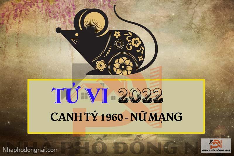 tu-vi-2022-tuoi-canh-ty-1960-nu-mang