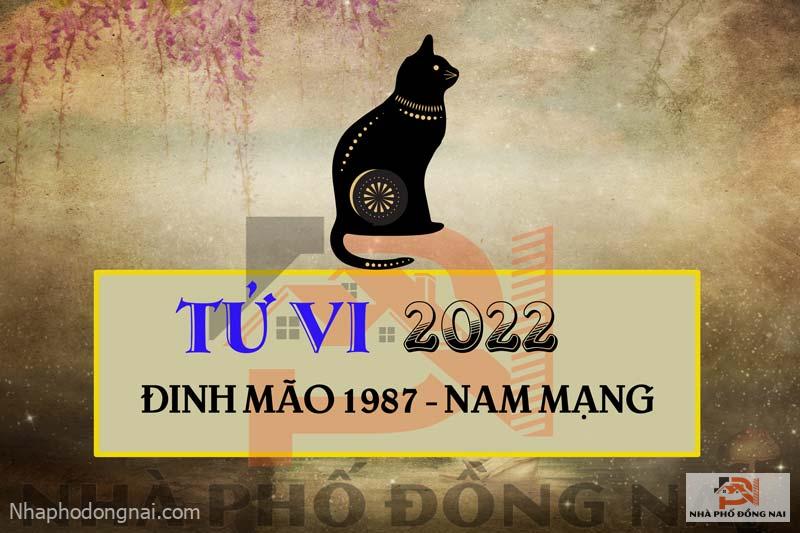 tu-vi-2022-tuoi-dinh-mao-1987-nam-mang