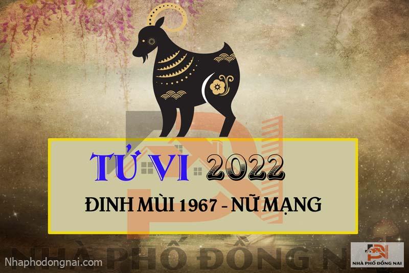 tu-vi-2022-tuoi-dinh-mui-1967-nu-mang