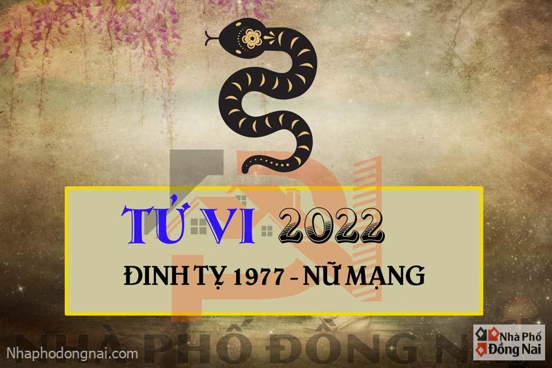 tu-vi-2022-tuoi-dinh-ty-1977-nu-mang