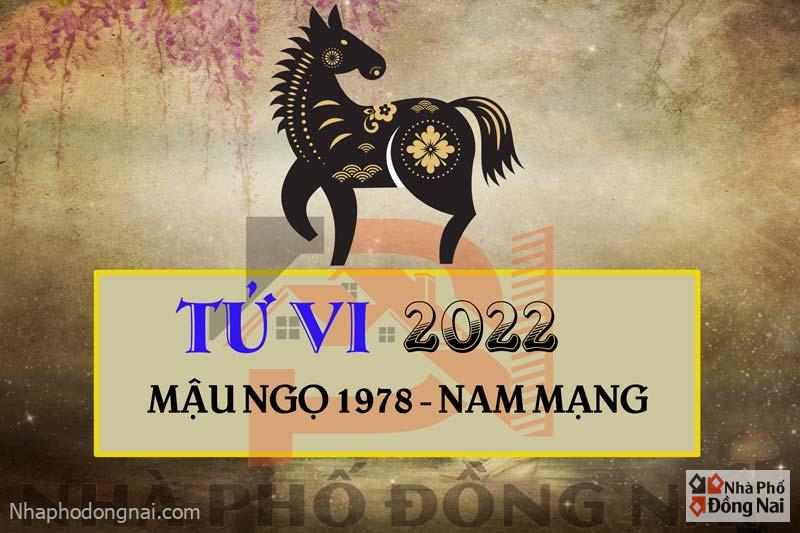 tu-vi-2022-tuoi-mau-ngo-1978-nam-mang