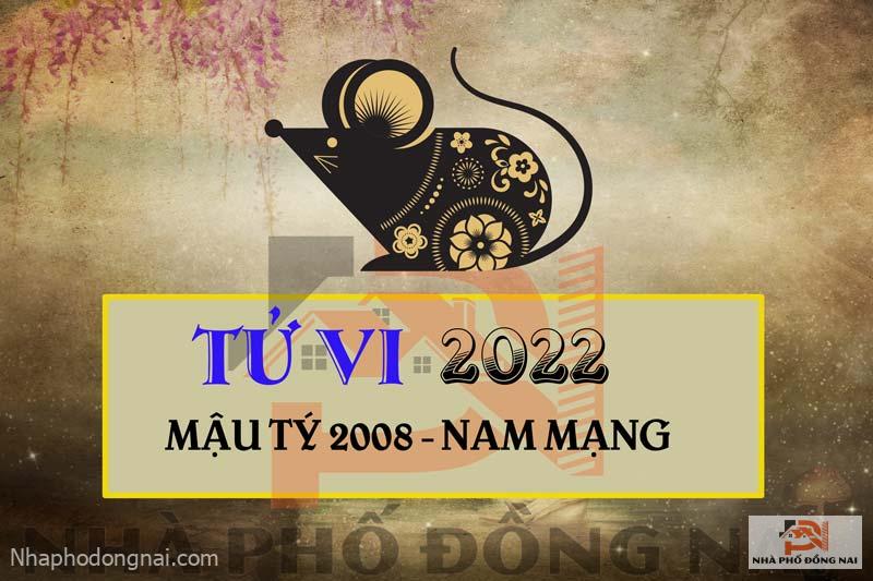 tu-vi-2022-tuoi-mau-ty-2008-nam-mang