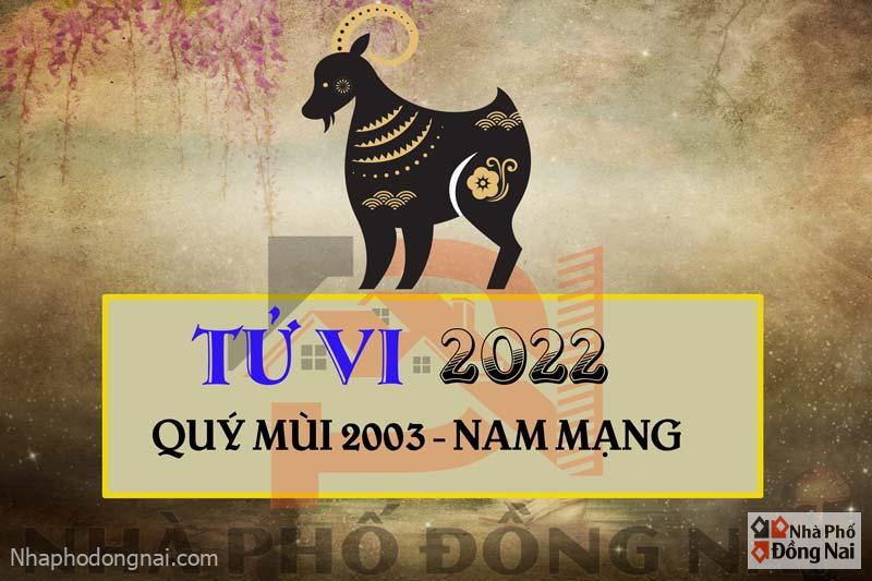 tu-vi-2022-tuoi-quy-mui-2003-nam-mang