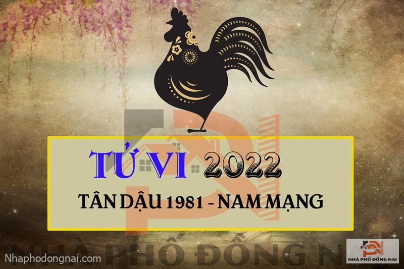 tu-vi-2022-tuoi-tan-dau-1981-nam-mang