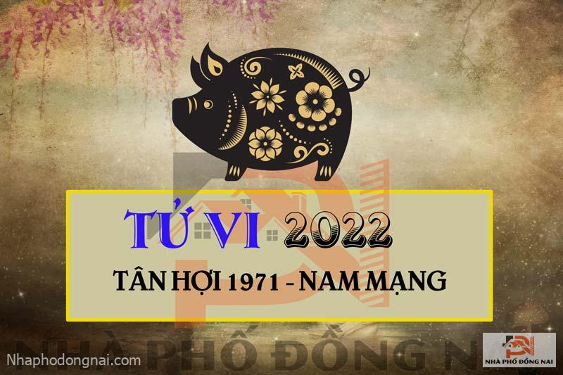 tu-vi-2022-tuoi-tan-hoi-1971-nam-mang