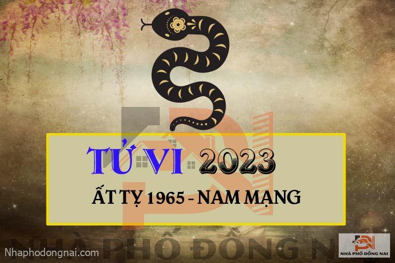 tu-vi-2023-tuoi-at-ty-1965-nam-mang